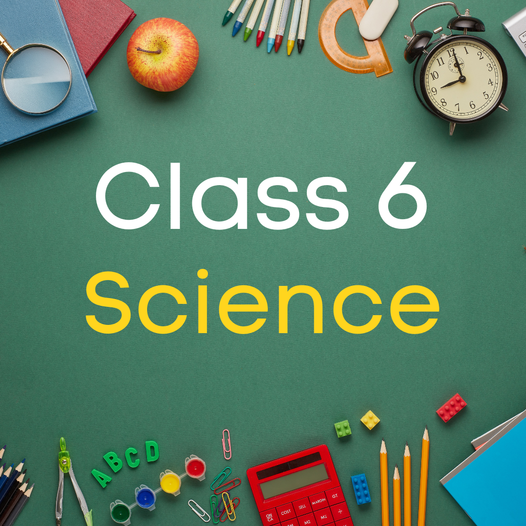 Class 6 Science CBSE
